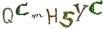 Beeld-CAPTCHA