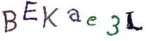 Beeld-CAPTCHA