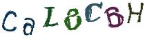 Beeld-CAPTCHA