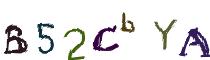 Beeld-CAPTCHA