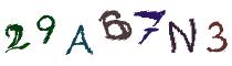 Beeld-CAPTCHA