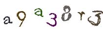 Beeld-CAPTCHA