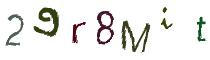 Beeld-CAPTCHA