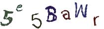 Beeld-CAPTCHA