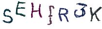 Beeld-CAPTCHA