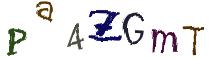 Beeld-CAPTCHA