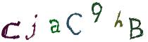 Beeld-CAPTCHA