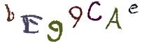 Beeld-CAPTCHA