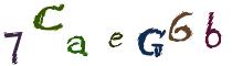 Beeld-CAPTCHA