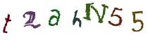 Beeld-CAPTCHA