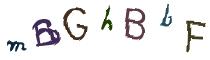 Beeld-CAPTCHA