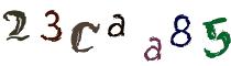 Beeld-CAPTCHA