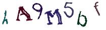 Beeld-CAPTCHA