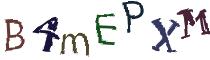 Beeld-CAPTCHA