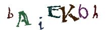 Beeld-CAPTCHA