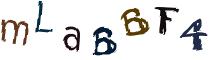 Beeld-CAPTCHA