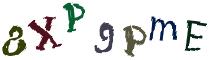 Beeld-CAPTCHA