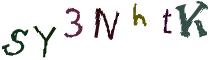 Beeld-CAPTCHA