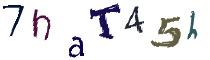 Beeld-CAPTCHA