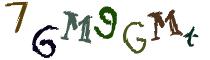 Beeld-CAPTCHA