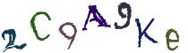 Beeld-CAPTCHA