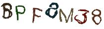 Beeld-CAPTCHA