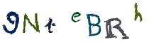 Beeld-CAPTCHA