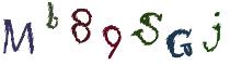 Beeld-CAPTCHA