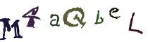 Beeld-CAPTCHA