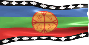 mapuche flag