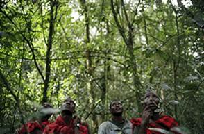 Foto  Geert van Kesteren (jonge Ogiek-mannen in het Mau-woud in Kenia)