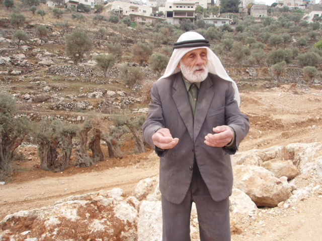 Abu Salim bij zijn oude herplante olijfbomen
